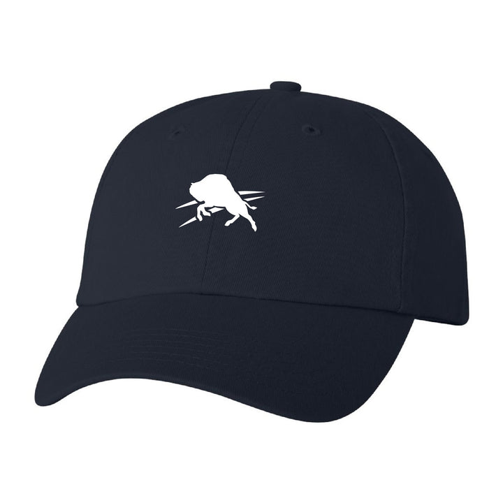 Bison Logo Hat